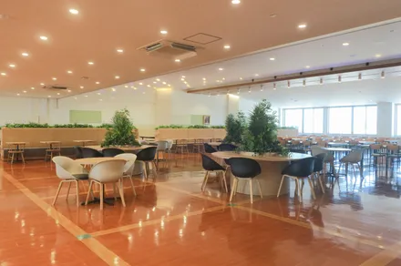 モダンな広々としたカフェテリアまたはダイニングエリア。木製の床、白い壁、多くのテーブルと椅子、天井の照明、植物のある仕切りを特徴とする明るく開放的な空間。